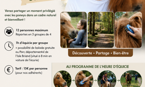 Alix Le Lion d Angers