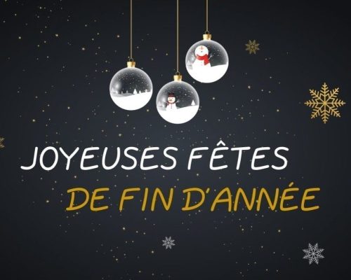 Joyeux Fêtes de fin d'année